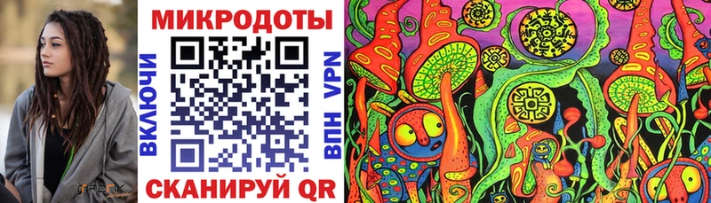 Галлюциногенные грибы Psilocybe  Кореновск 