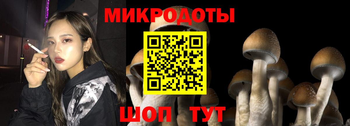 Псилоцибиновые грибы Psilocybe  Вход с VPN  Кореновск 